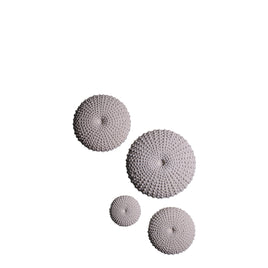 Sea Urchins Set of 4 Stone Wall Decor Statues