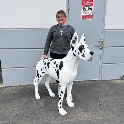 Great Dane Dog Life Size Statue