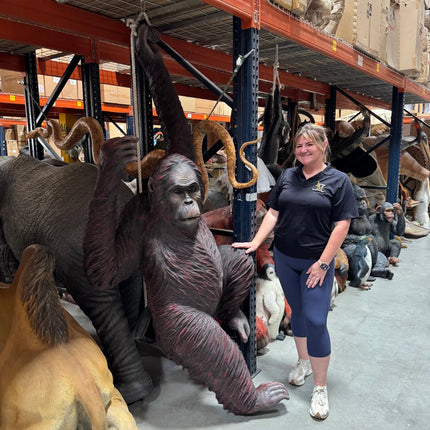 Hanging Jumbo Orangutan Monkey Statue LM Treasures - A