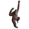 Hanging Jumbo Orangutan Monkey Statue LM Treasures - A