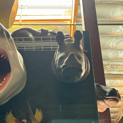 Baby Rhinoceros Head Life Size Statue