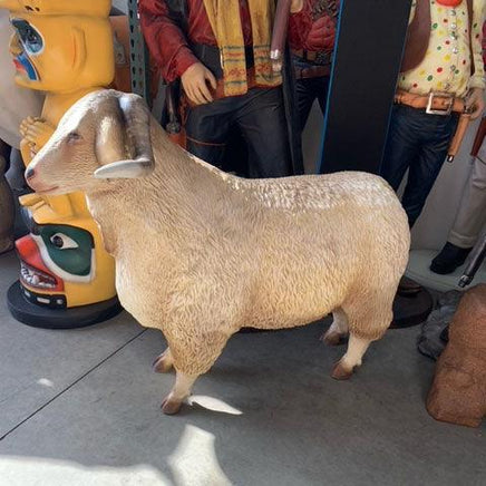 Male Tibetan Sheep Life Size Statue - LM Treasures 