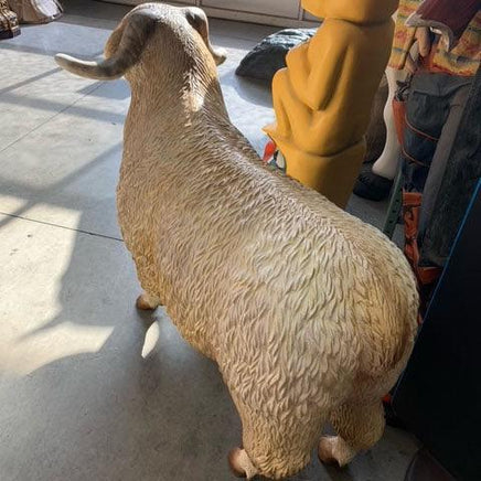 Male Tibetan Sheep Life Size Statue - LM Treasures 