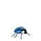 Small Blue Lady Bug Over Sized Insect Statue