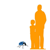 Small Blue Lady Bug Over Sized Insect Statue