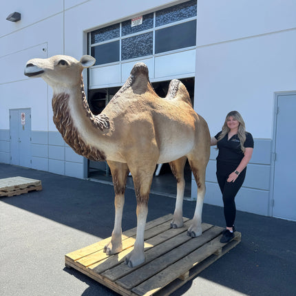 Camel Standing Life Size Nativity Statue LM Treasures - A