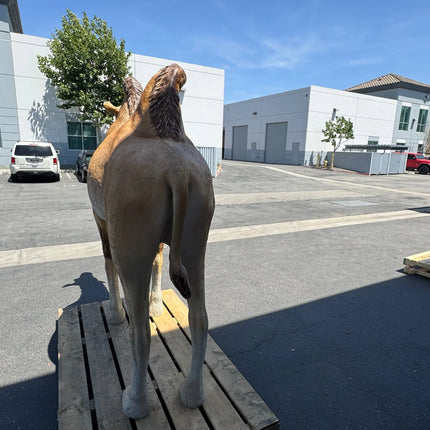 Camel Standing Life Size Nativity Statue LM Treasures - A