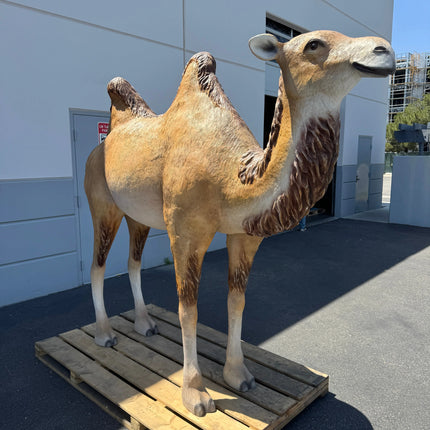 Camel Standing Life Size Nativity Statue LM Treasures - A