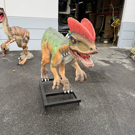 Venenifer No Dorsal Fin Dinosaur Life Size Statue