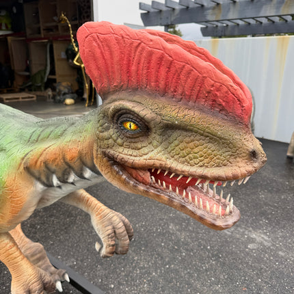 Venenifer No Dorsal Fin Dinosaur Life Size Statue
