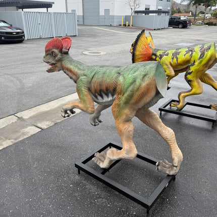 Venenifer No Dorsal Fin Dinosaur Life Size Statue