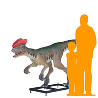 Venenifer No Dorsal Fin Dinosaur Life Size Statue