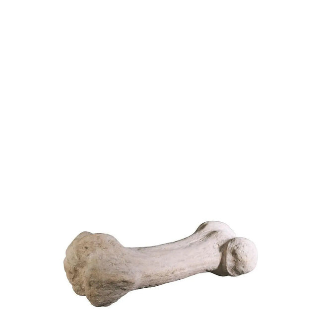 Large Dinosaur Bone Statue LM Treasures - H