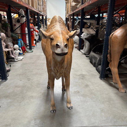 Dromedary Camel Life Size Statue LM Treasures - A