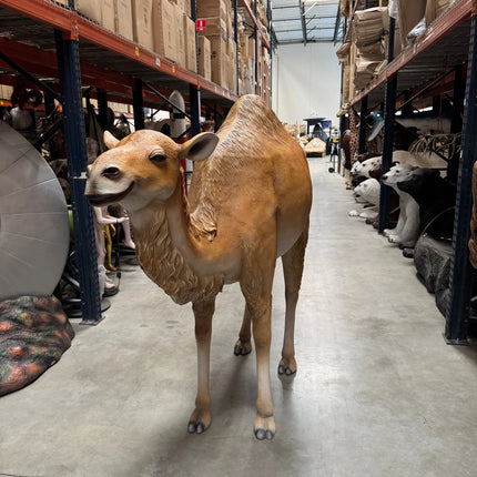 Dromedary Camel Life Size Statue LM Treasures - A