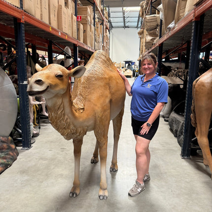 Dromedary Camel Life Size Statue LM Treasures - A