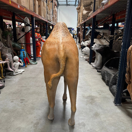 Dromedary Camel Life Size Statue LM Treasures - A