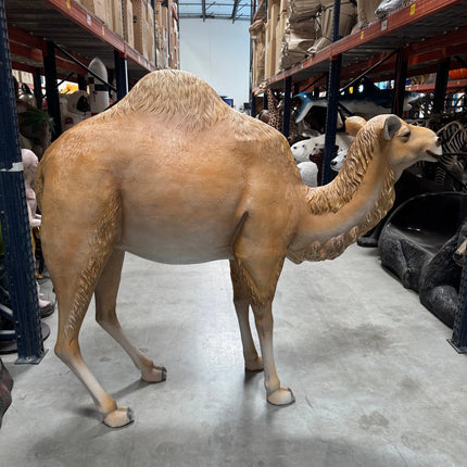 Dromedary Camel Life Size Statue LM Treasures - A