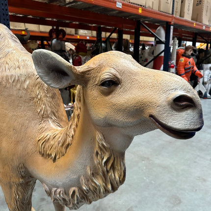 Dromedary Camel Life Size Statue LM Treasures - A