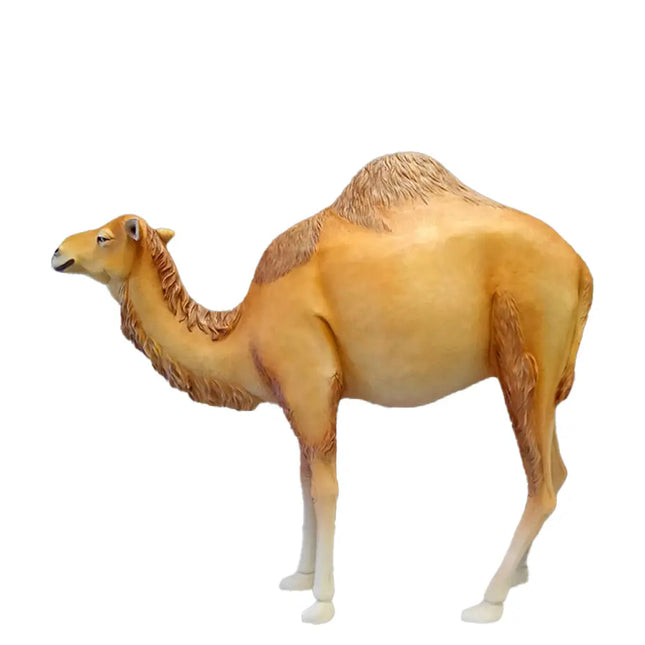 Dromedary Camel Life Size Statue