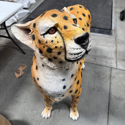 Watchful Head Up Cheetah Life Size Statue LM Treasures - A
