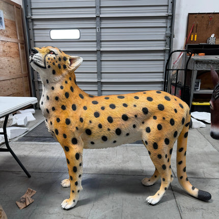 Watchful Head Up Cheetah Life Size Statue LM Treasures - A