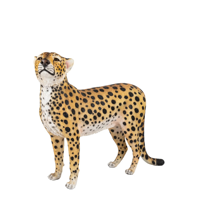 Watchful Head Up Cheetah Life Size Statue