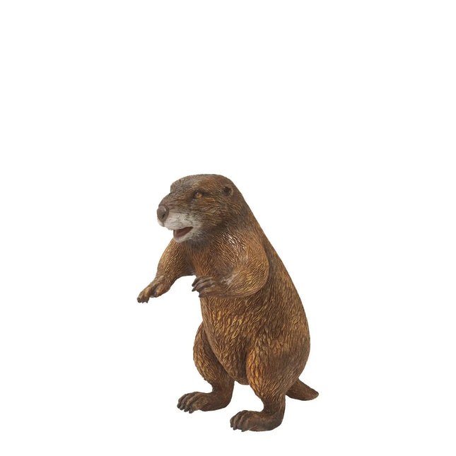 Groundhog Standing Life Size Statue LM Treasures - T