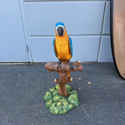 Blue Gold Macaw Parrot On Branch Life Size Statue