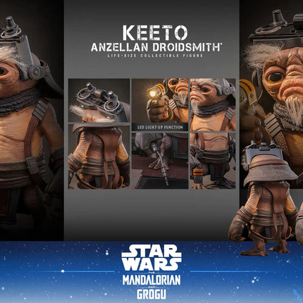 Star Wars Anzellan Droidsmith Keeto Life Size 1:1 Statue Hot Toys