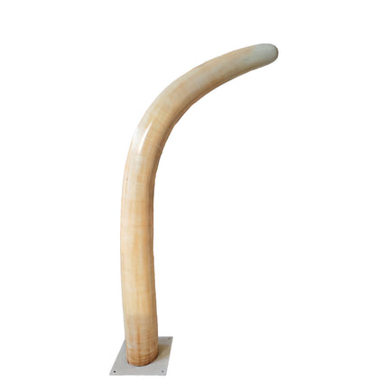 Large Dinosaur Ribs Set of 2 Statues