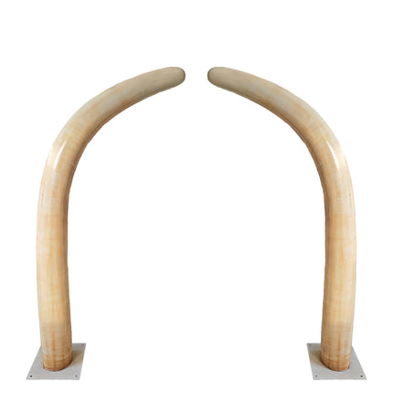Large Dinosaur Ribs Set of 2 Statues