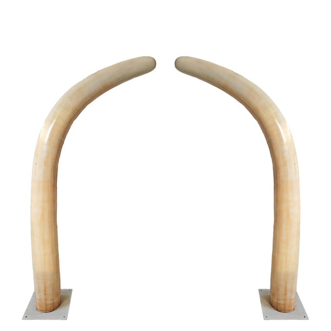 Large Dinosaur Ribs Set of 2 Statues LM Treasures - A