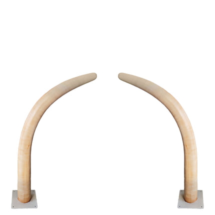 Medium Dinosaur Ribs Set of 2 Statues