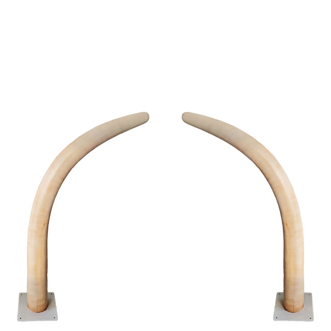 Medium Dinosaur Ribs Set of 2 Statues LM Treasures - A