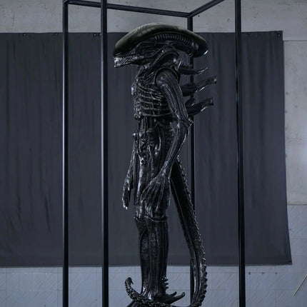 Alien Xenomorph Life Size 1:1 Statue