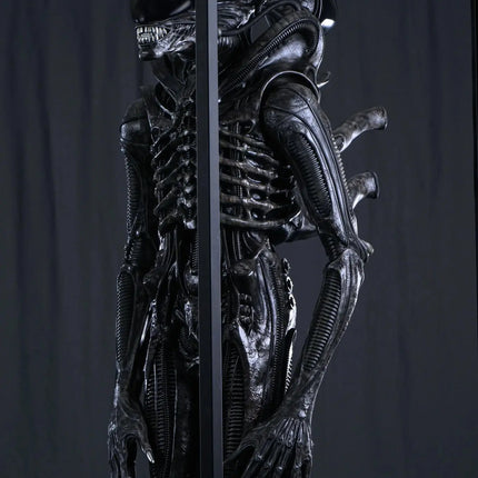 Alien Xenomorph Life Size 1:1 Statue
