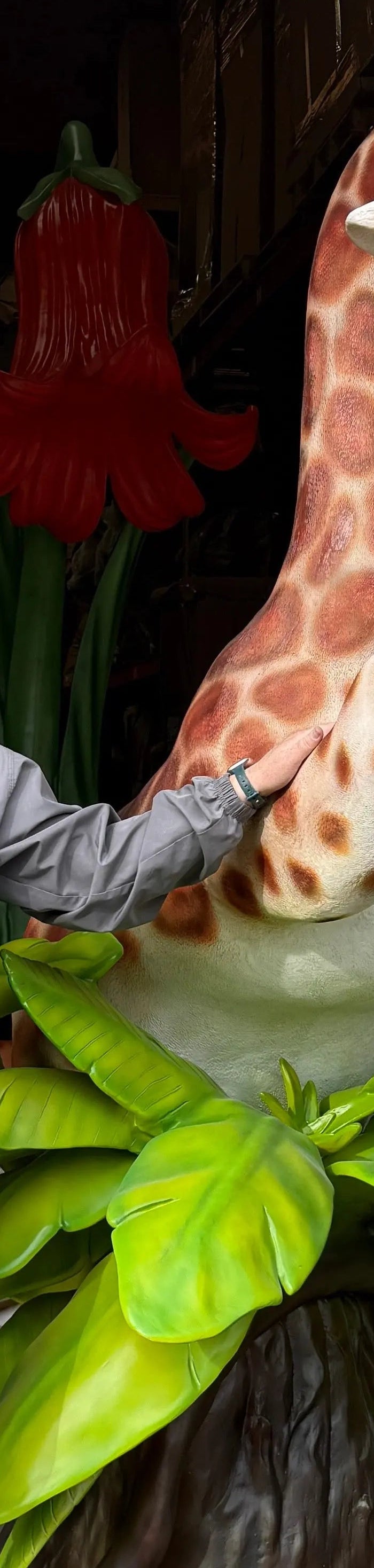 Comic Giraffe Exploring Life Size Statue LM Treasures - PT