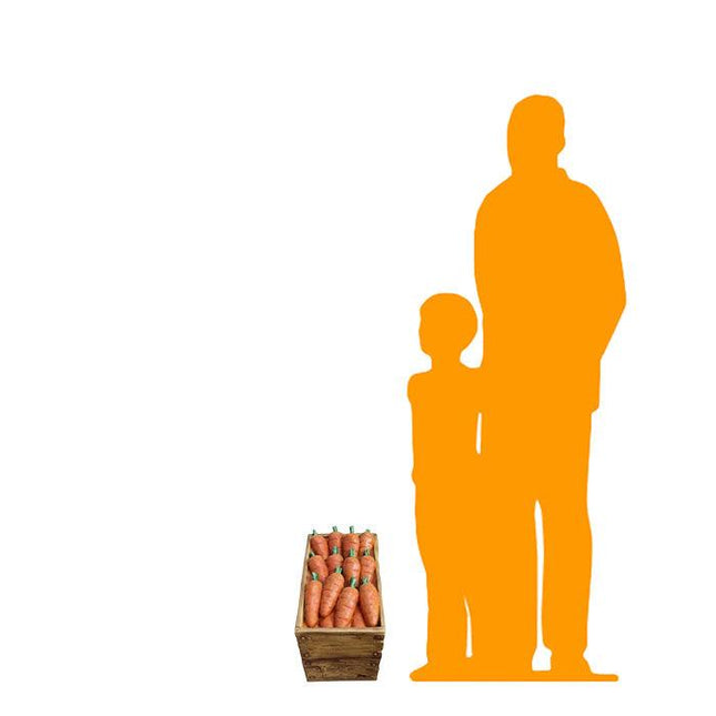Case Of Carrots Statue - LM Treasures 