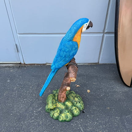 Blue Gold Macaw Parrot On Branch Life Size Statue