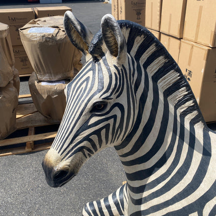 Resting Zebra Life Size Statue