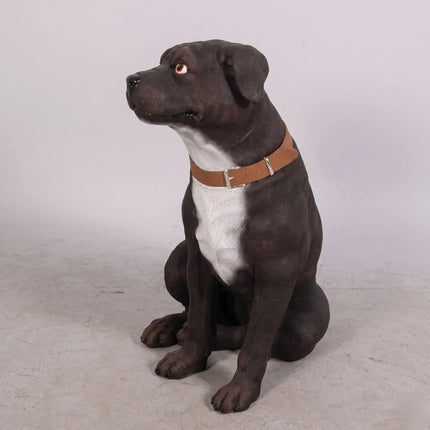 English Staffordshire Life Size Statue LM Treasures - H
