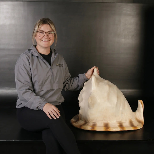 Helmet Shell Life Size Statue