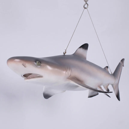 Black Tip Shark Statue LM Treasures - H