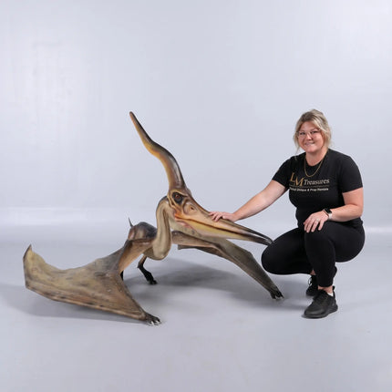 Pteranodon Ingens Dinosaur Life Size Statue LM Treasures - H