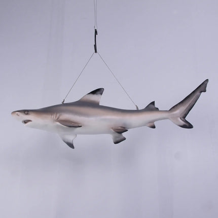 Black Tip Shark Statue LM Treasures - H