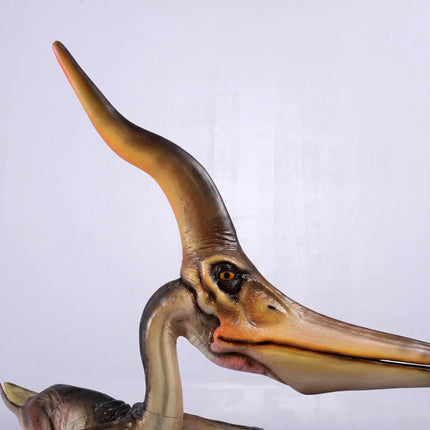 Pteranodon Ingens Dinosaur Life Size Statue LM Treasures - H