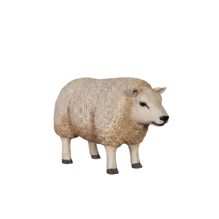Texelaar Baby Sheep Life Size Statue LM Treasures - H