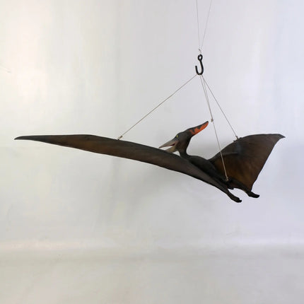 Baby Pteranodon Dinosaur Life Size Statue LM Treasures - H