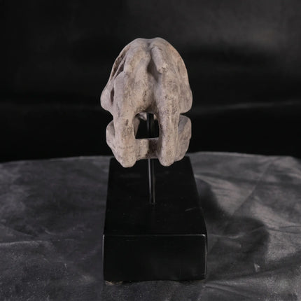 Raptor Dinosaur Skull Life Size Statue